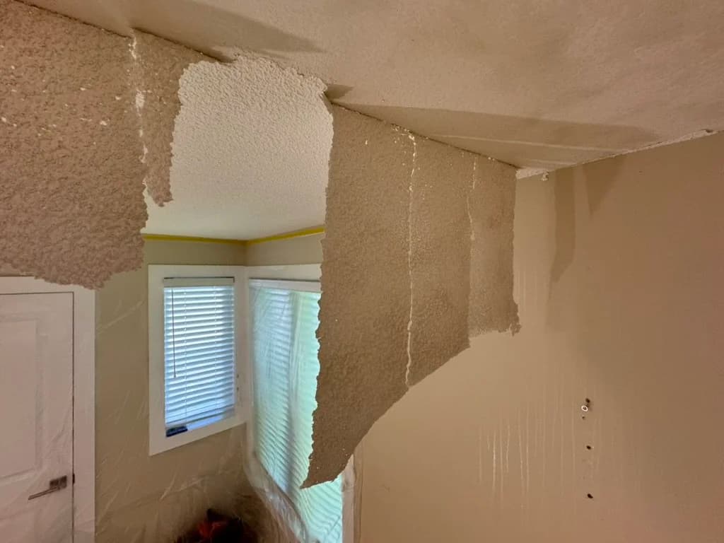New Service: Textured (Popcorn) Ceiling Removal